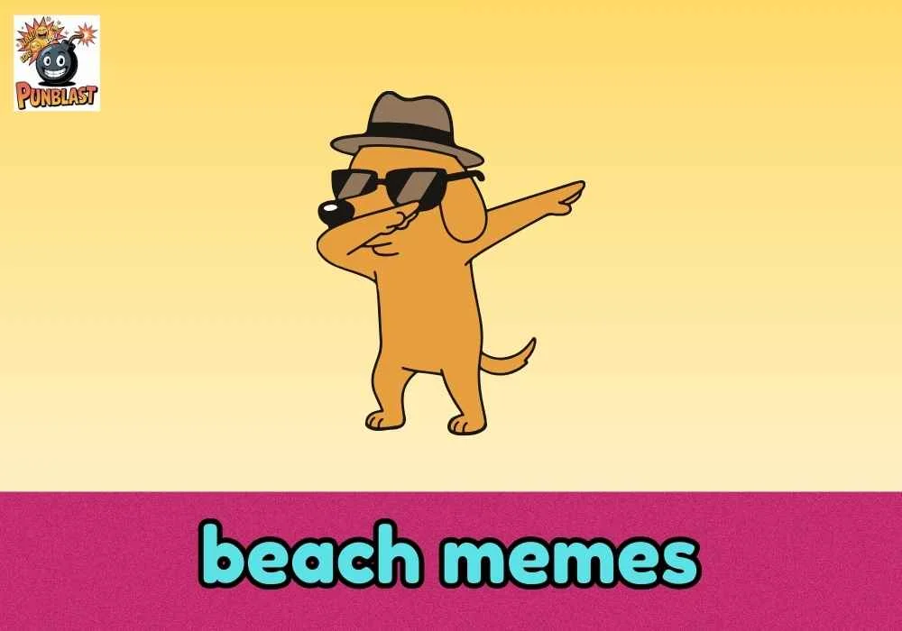 beach memes