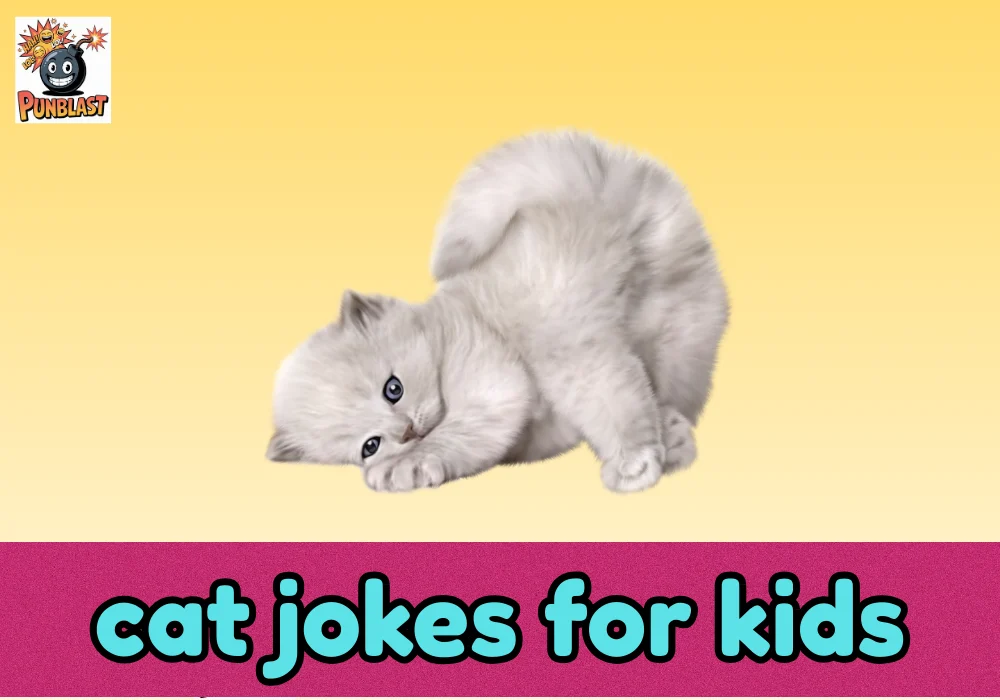 cat jokes for kids