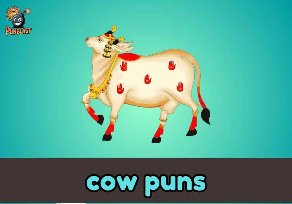 cow puns