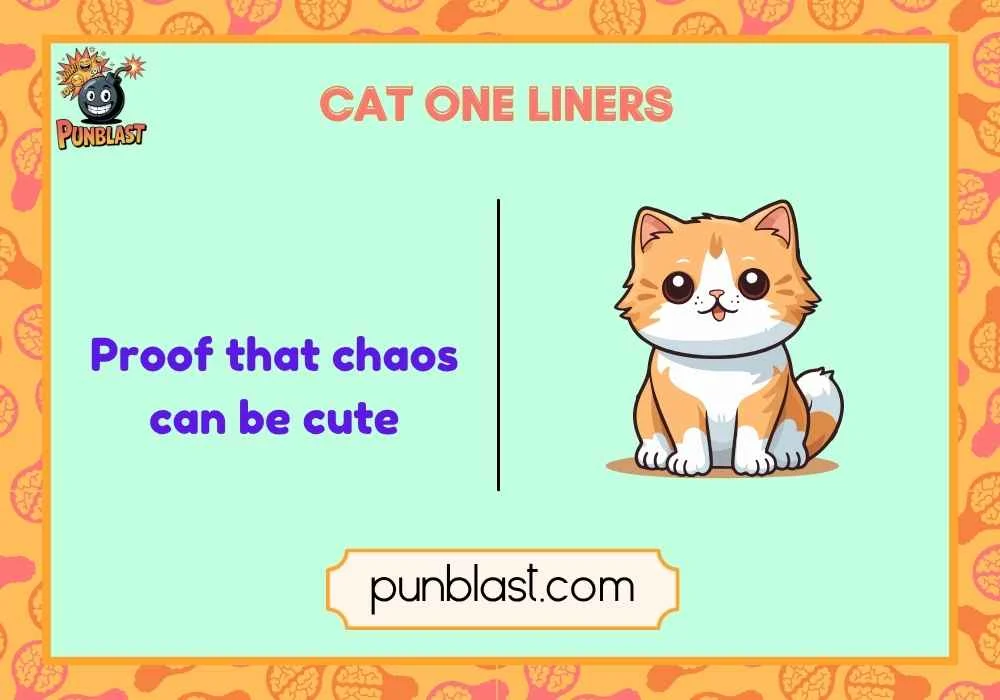 Cat One Liners Reddit
