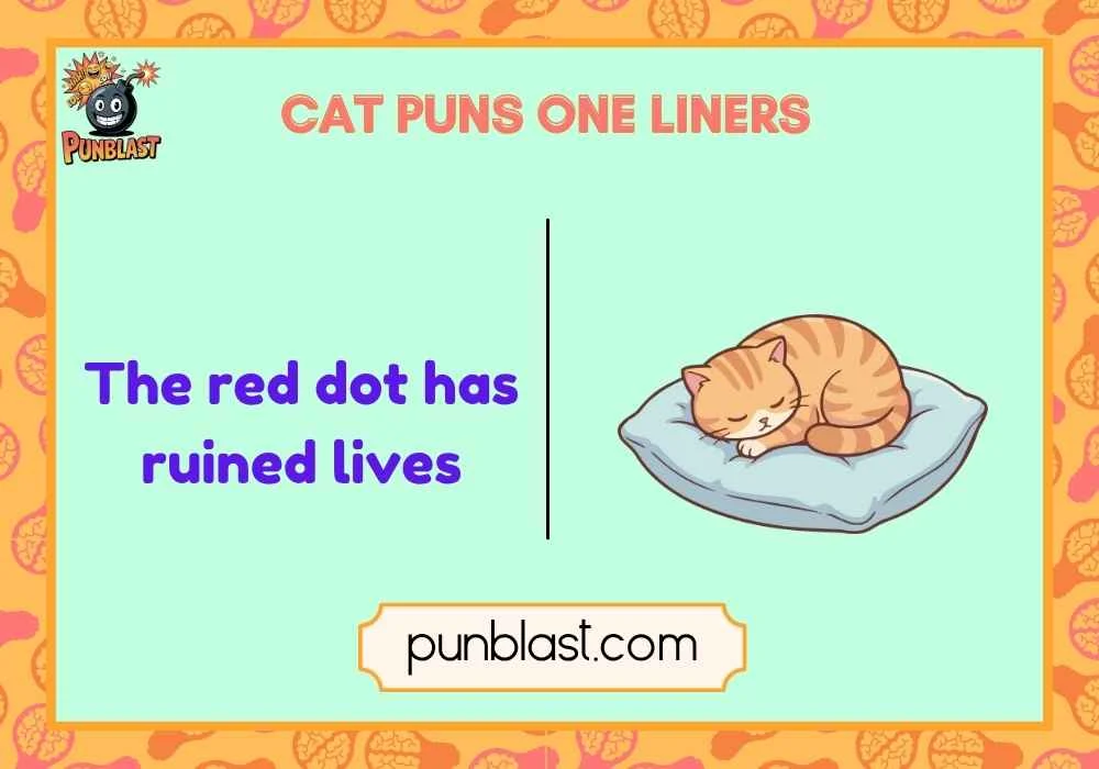Cat Puns One Liners