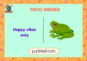 frog memes