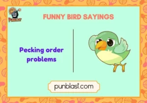 funny bird sayings