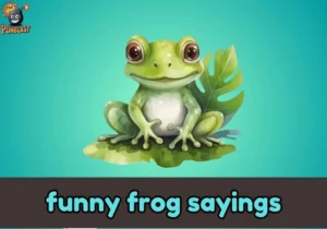 funny frog sayings