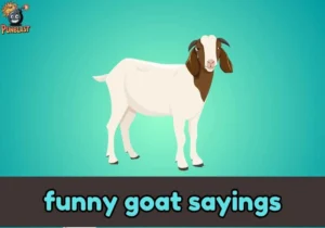 funny goat sayings