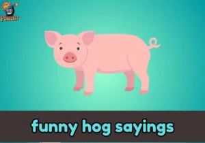 funny hog sayings