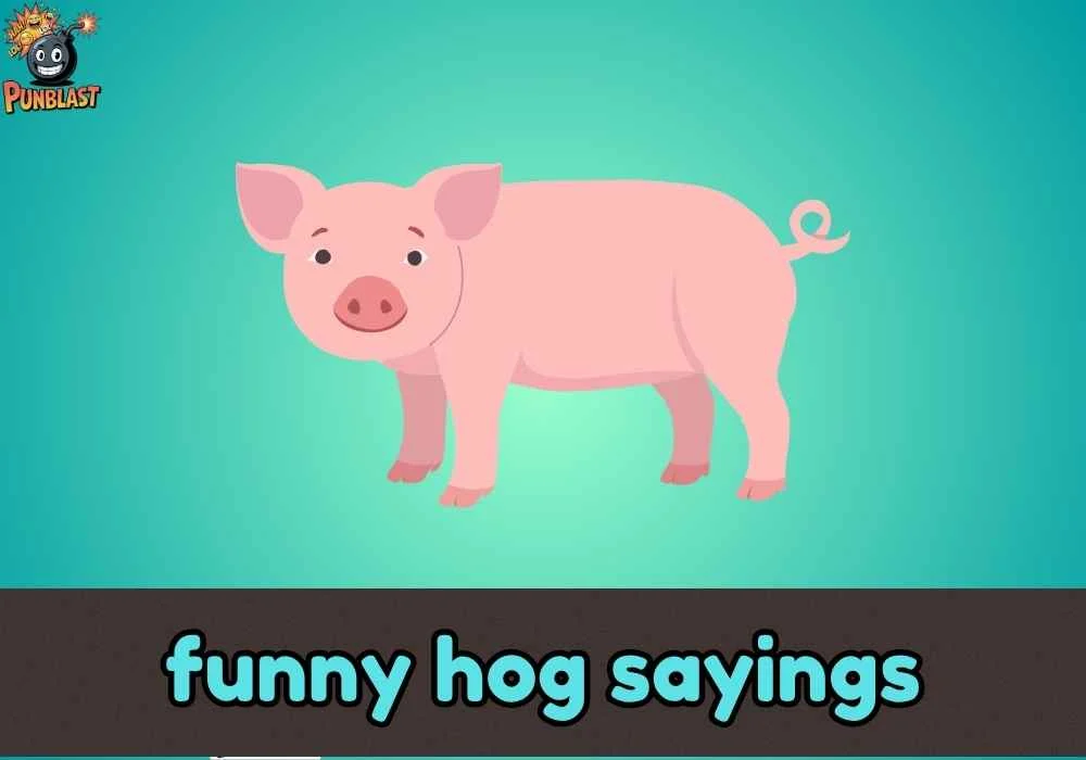 funny hog sayings