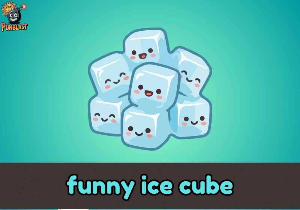 funny ice cube