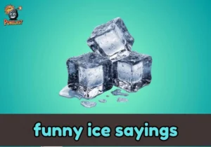 funny ice sayings