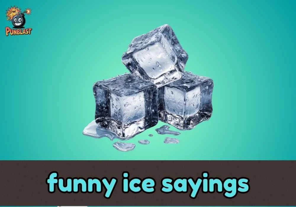 funny ice sayings