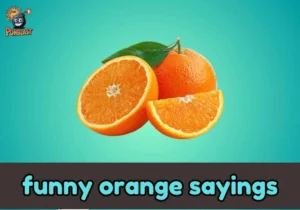 funny orange sayings