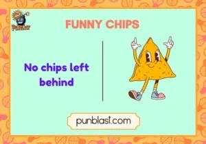 funny chips