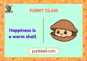 funny clam