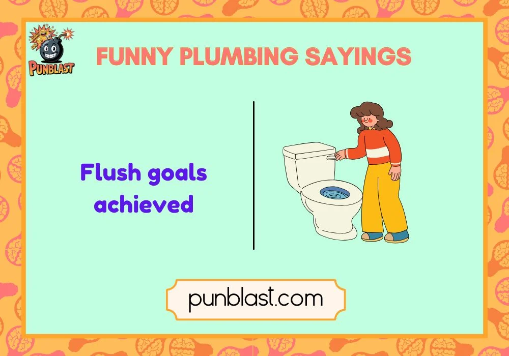 Toilet flush goals achieved