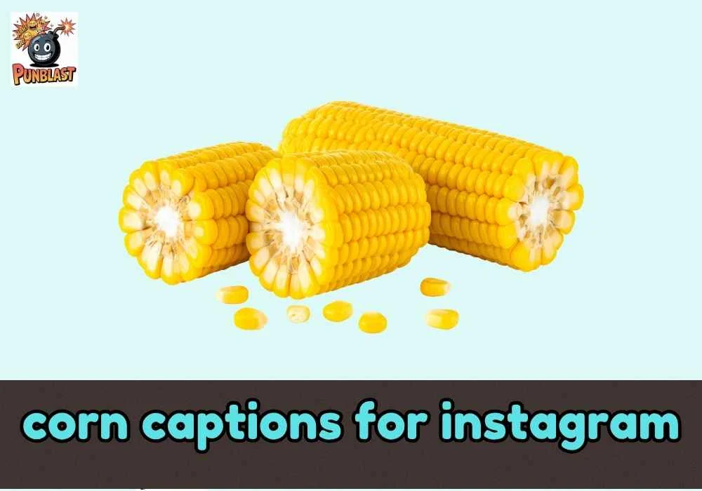 corn captions for instagram