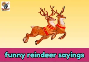 funny reindeer sayings