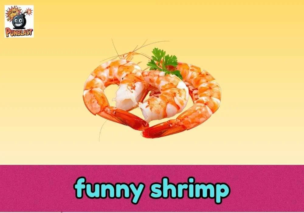 funny shrimp