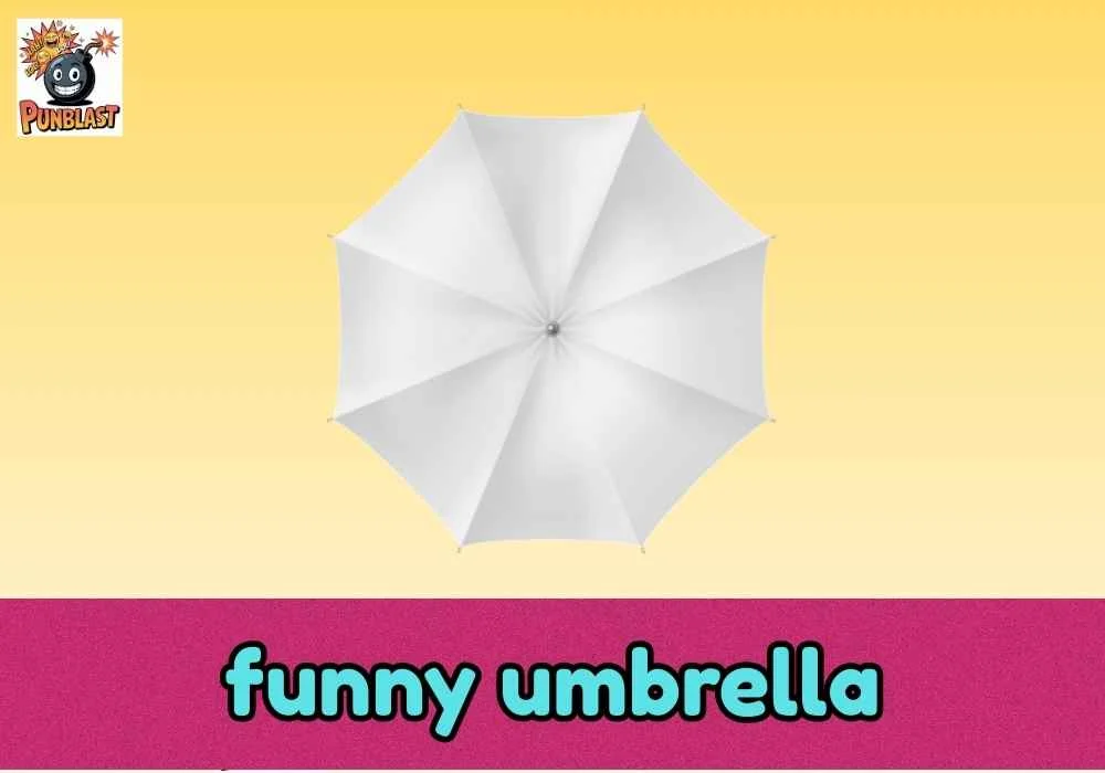 funny umbrella