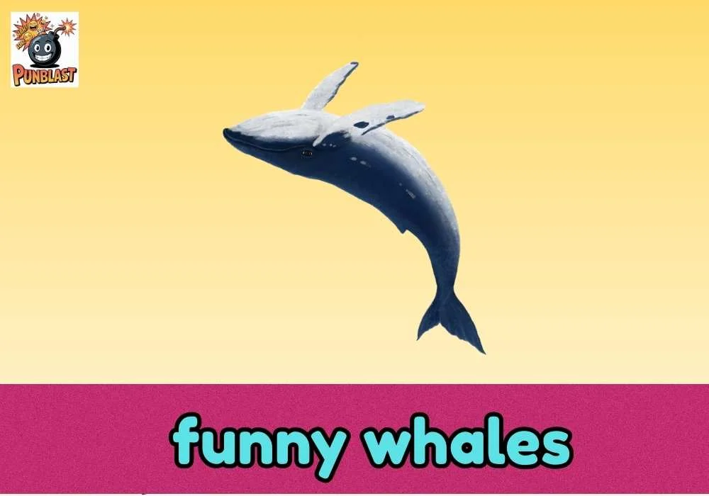 funny whales