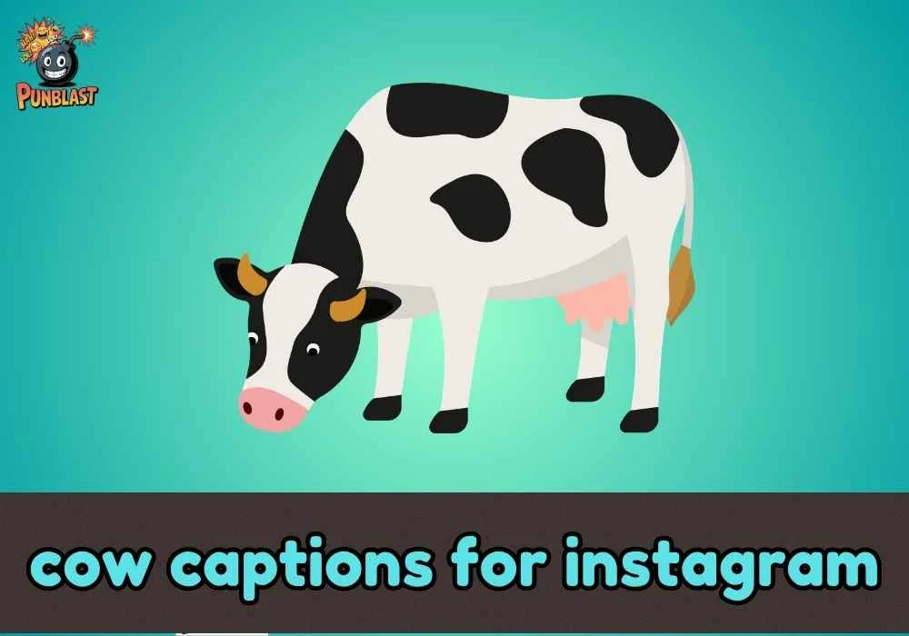cow captions for instagram