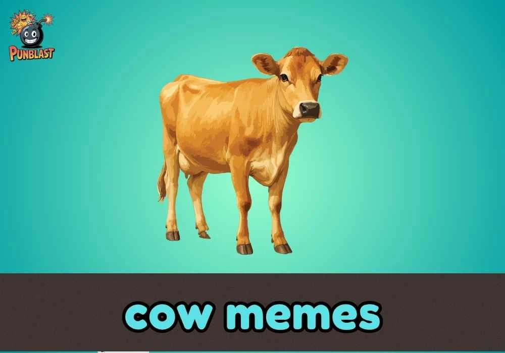 cow memes