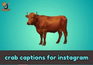 crab captions for instagram