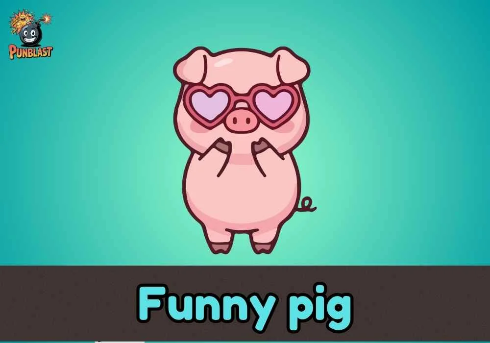 funny pig