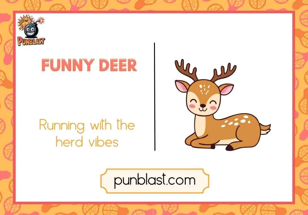 funny deer