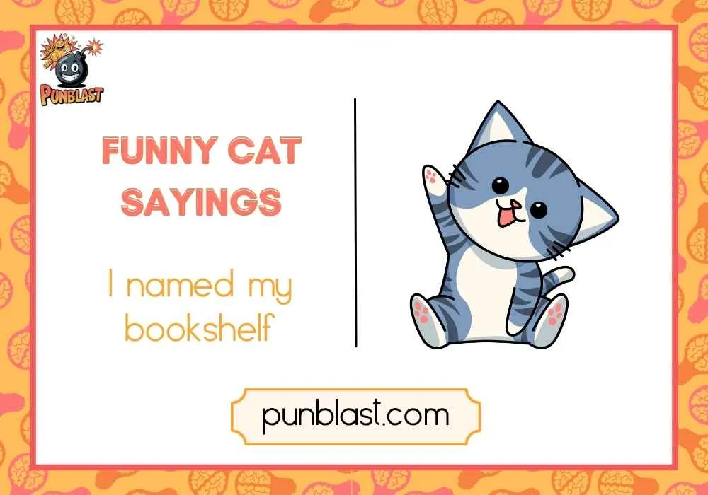 funny book sayings