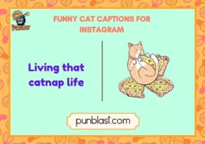 funny cat captions for instagram