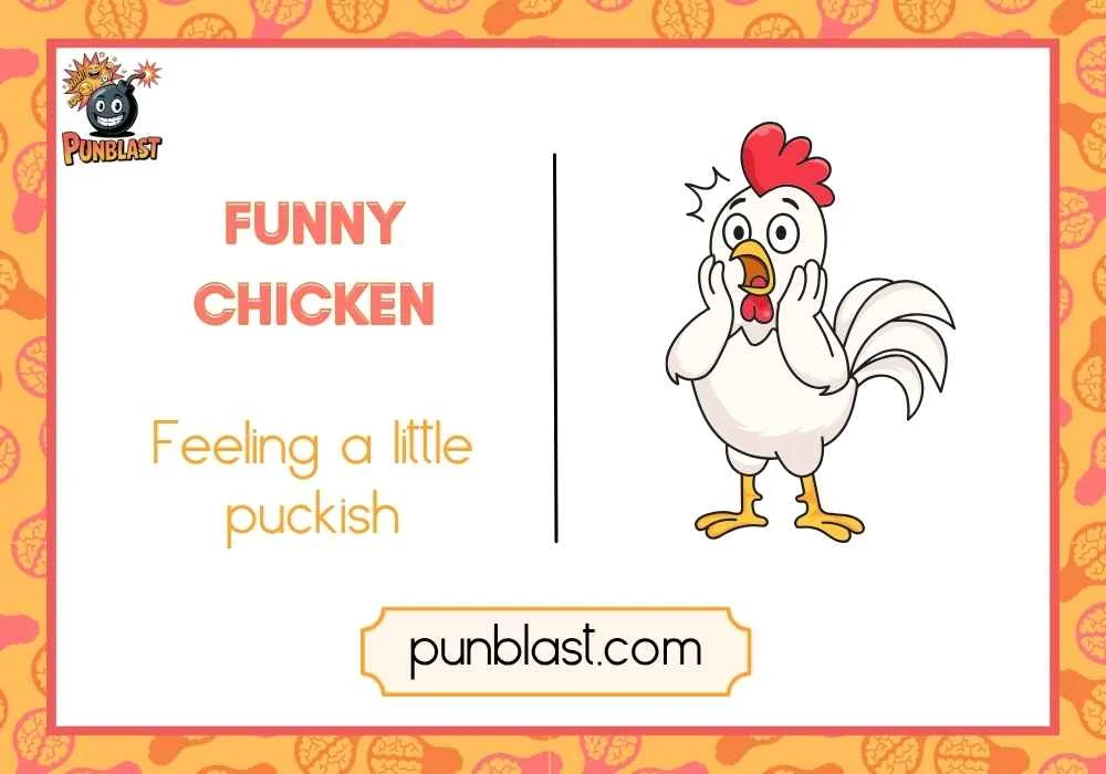 funny chicken