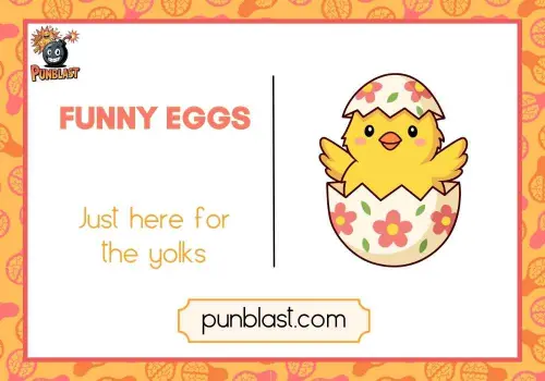 funny eggs